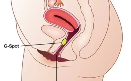 The Essentials of Sexual Pleasure - Vaginal Sensitivity