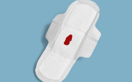 Women with shorter menstrual cycles, typically around 24 days, may have an increased likelihood of becoming pregnant