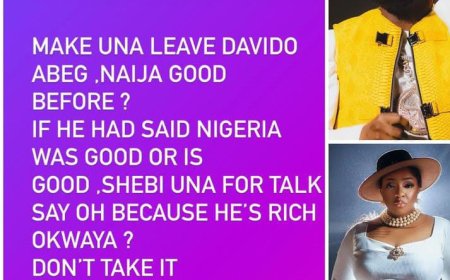 "MAKE UNA LEAVE DAVID0 ABEG ,NAIJA GOOD BEFORE?..."  -Anita Joseph-Olagunju