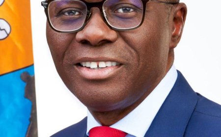 Lagos Governor Suspends Media Aide Over Controversial Claims