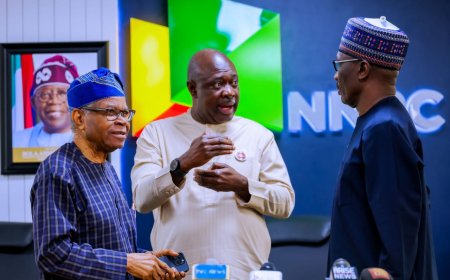 NNPCL Exceeds Revenue Projections; Customs Service Reports Record Earnings