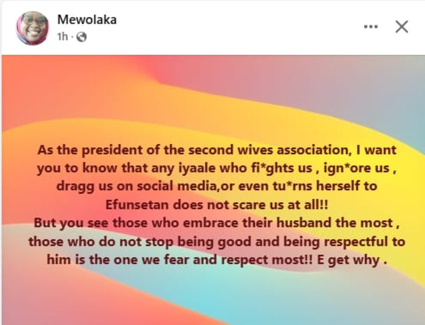 Nigerian Woman Slams Senior Wives as President of Second Wives Association