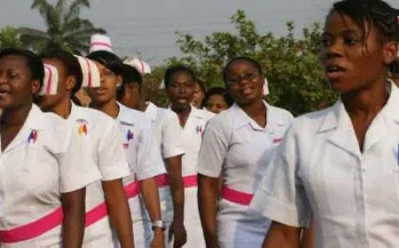 Nursing Council Appeals to Nigerian Nurses to Stay in Country Amid Economic Challenges