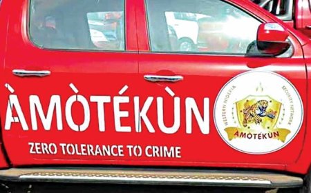Osun Amotekun Corps Arrests Man for Agricultural Theft