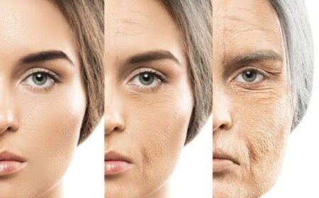 Want to Slow Down Aging? Here’s the Secret You Need!