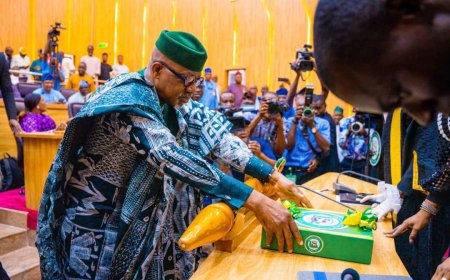 Ogun State Governor Dapo Abiodun Submits N1.055 Trillion Budget Proposal