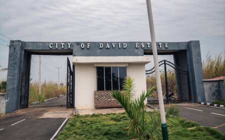 Blord Names N2.5 Billion Estate After Davido