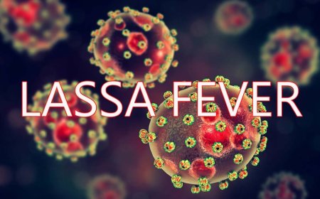 Lassa Fever: A Health Challenge in West Africa