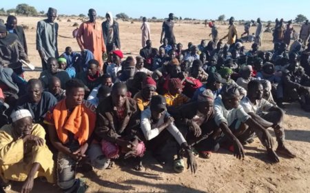 MNJTF Intercepts 174 Suspected Nigerians at Niger Border