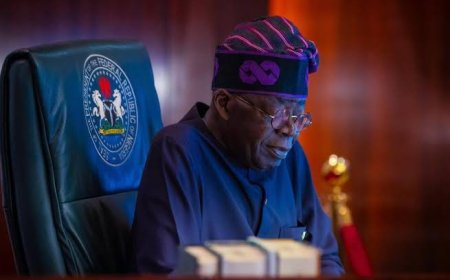 President Tinubu Makes Key Appointments in Nigerian Educational and Development Sectors