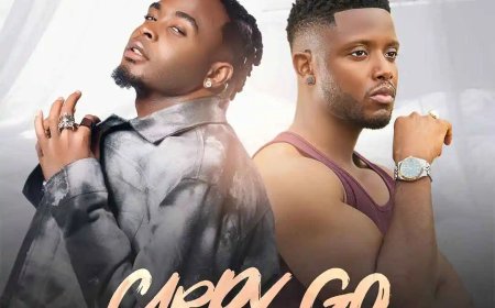 Listen to the remix of "Carry Go" by Pryme featuring Chike below.