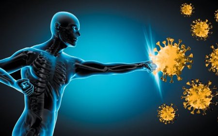 The Immune System: Myths and Facts