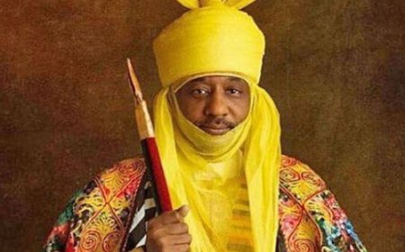 Emir of Kano Advocates Against Domestic Violence at National Dialogue Conference