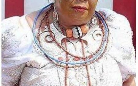 Olayinka Lere, an aide to Nyesom Wike, has accused Rita Lori of failing to comply with the terms and conditions set for a Right of Occupancy approval. According to Lere, this non-compliance has persisted for 20 months, raising concerns about the adherence to legal and procedural requirements.