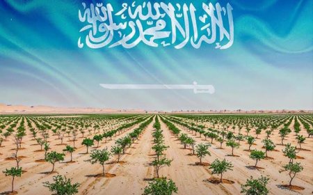 Saudi Arabia Launches Ambitious Land Restoration Mission to Plant 10 Billion Trees