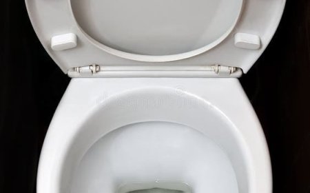 Why Are Toilets Usually White?