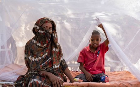 The Impact of Malaria in 2023