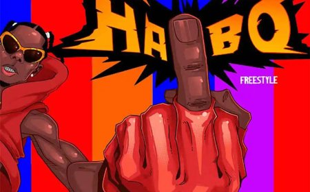 Listen to and download the "Haibo Freestyle" song by Blaqbonez, complete with lyrics below.