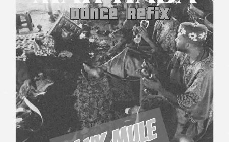 Talented Nigerian DJ and music producer DJ YK Mule has just launched an energetic version of Kizz Daniel’s recent track titled "Marhaba Dance Refix."  This exciting dance remix follows his earlier release, "Full of Joy."  Be sure to add this new masterpiece to your collection—it's perfect for those moments when you want to relax and dance to the rhythm