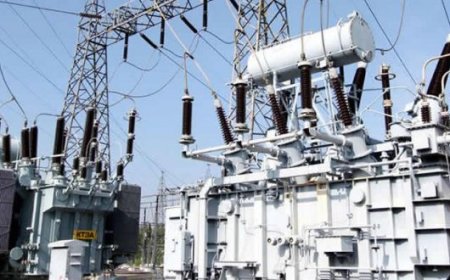 Nigeria Exports Electricity Worth N181.62bn from January to September 2024