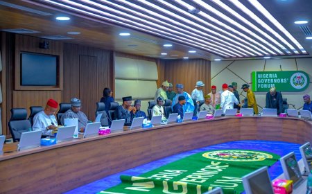 State Governors Propose ₦21.9 Trillion Budget for 2025