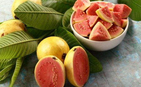 Health Benefits of Guava Fruit