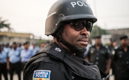 North West Records Highest Crime Incidence in Nigeria, Southeast the Lowest