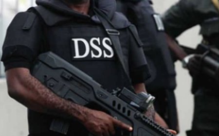 DSS Invites Statistician-General for Questioning Over Controversial Ransom Survey