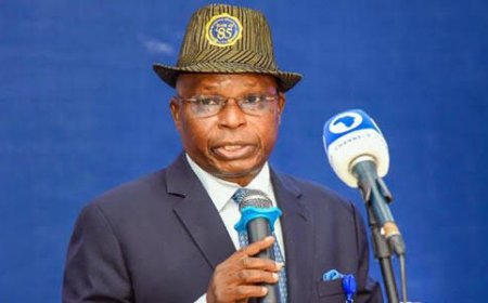 Attorney General Declares Governors Lacking Authority to Dismiss Local Government Chairpersons