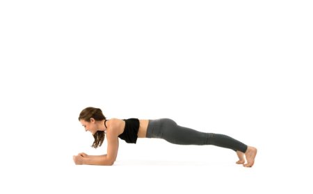The Plank Pose