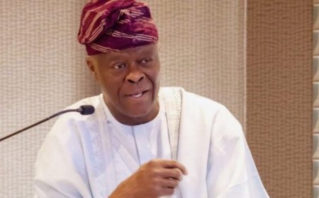 Nigeria Needs $20 Billion Annually to Meet Economic Targets by 2027, Says Finance Minister Wale Edun
