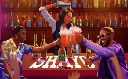 Listen to and download the remix of "Shayo" by Priesst featuring Adekunle Gold below.
