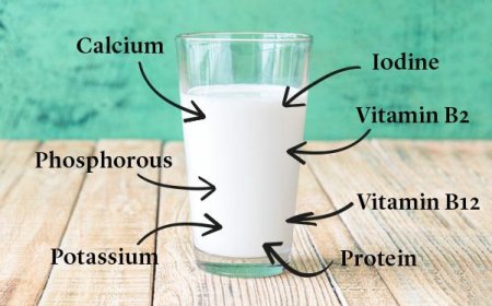 The Nutritional Power of Milk