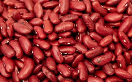 Health Benefits of Kidney Beans (Rajma)