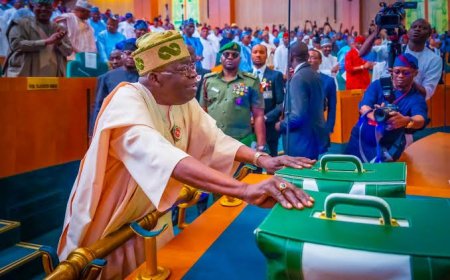 Nigeria's 2025 Budget Capital Expenditure
