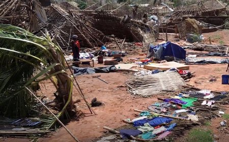 Cyclone Chido Devastates Mozambique, Causing 94 Deaths