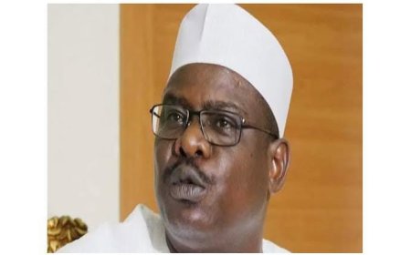 Senator Ali Ndume Opposes Tax Reform Bills