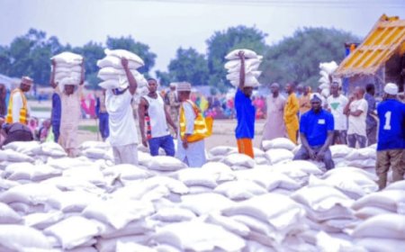 Tragic Loss of Lives Amid Palliative Distribution Sparks Political Controversy