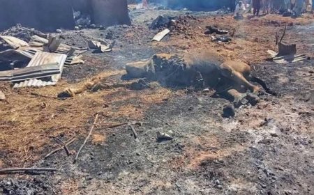 Many Feared Dead, Others Injured as Fighter Jet Mistakenly Bombs Two Sokoto Communities
