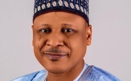 Nigerian Government Rejects Allegations from Niger Republic's Military Leader