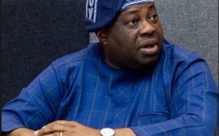 Dele Momodu Advocates for Stronger Mortgage System in Nigeria