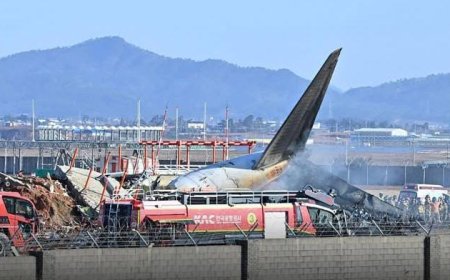 Tragic Plane Crash in South Korea Leaves Dozens Feared Dead