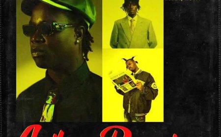 Listen to and download the "Seihor (Remix)" by DarkoVibes featuring Kofi Mole and Beeztrap KOTM in MP3 format below.