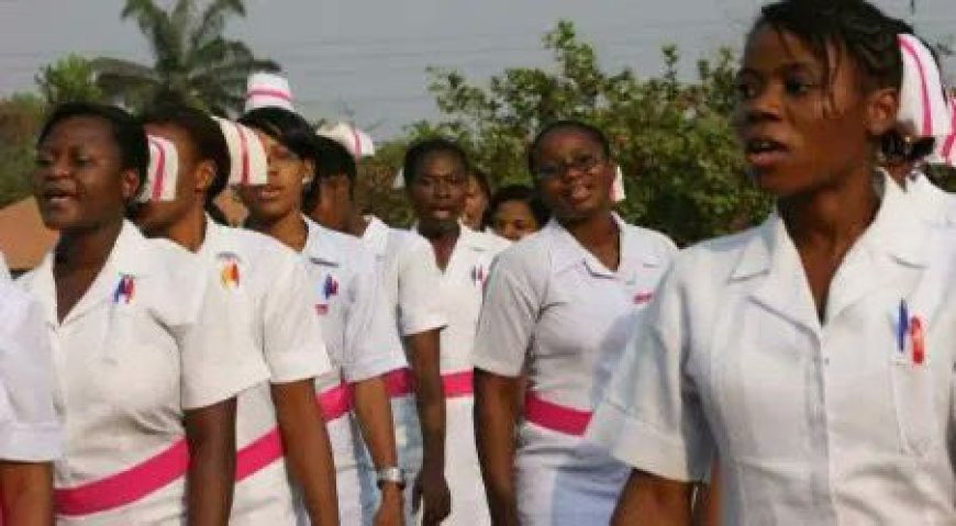 Nursing Council Appeals to Nigerian Nurses to Stay in Country Amid Economic Challenges