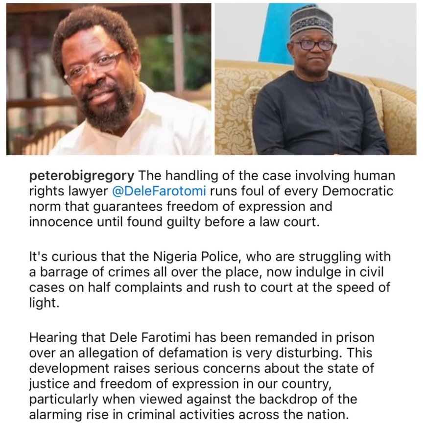 Peter Obi Criticizes Handling of Dele Farotimi's Case