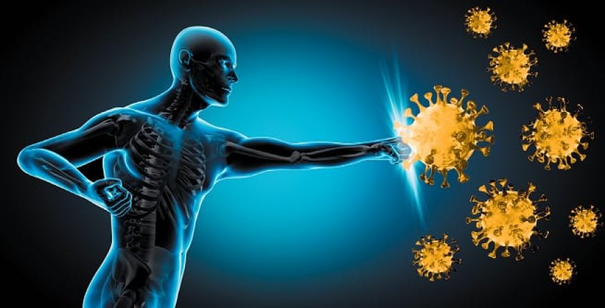 The Immune System: Myths and Facts