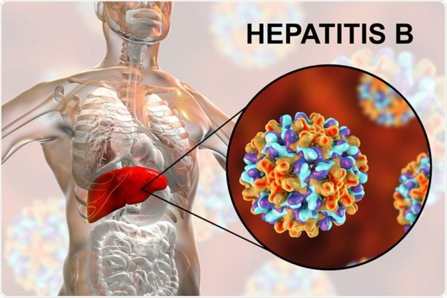 Hepatitis B - 101