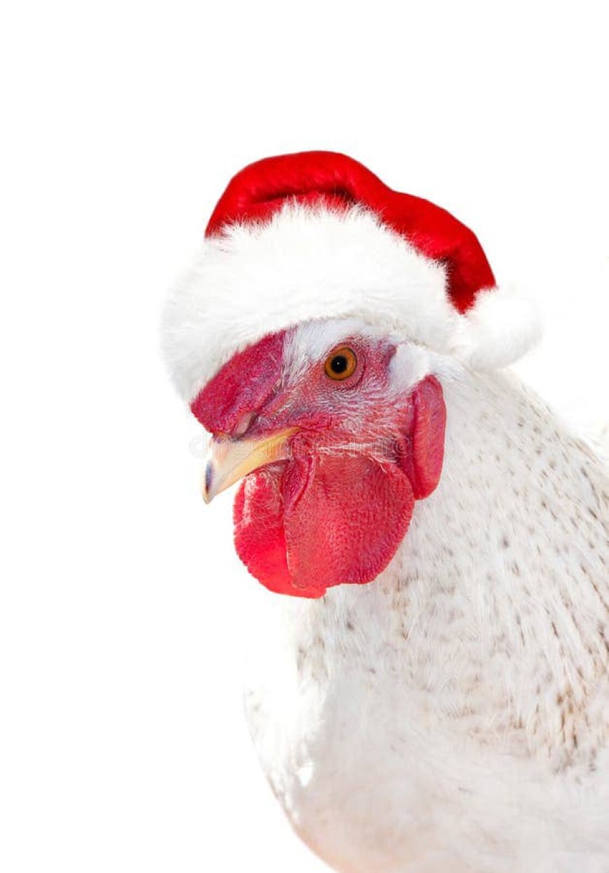 Be Cautious When Buying Chicken This December