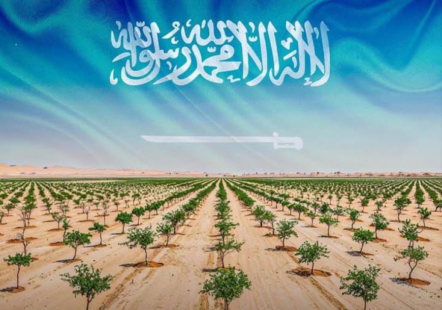 Saudi Arabia Launches Ambitious Land Restoration Mission to Plant 10 Billion Trees