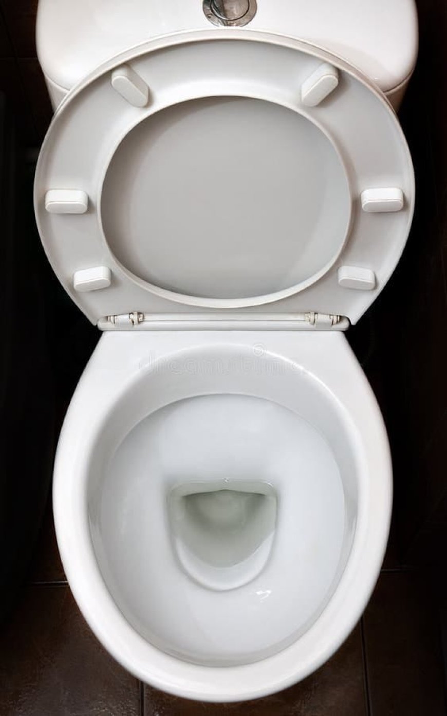 Why Are Toilets Usually White?